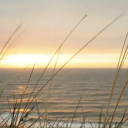 Sylt123 - Windeby 3d *